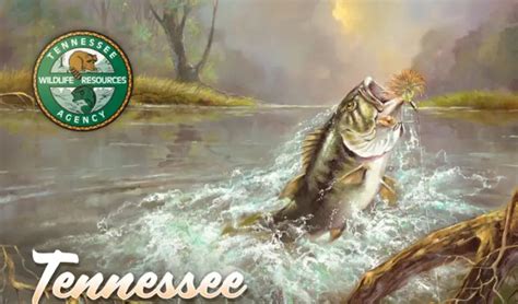 How To Get A Fishing License In Tennessee .
